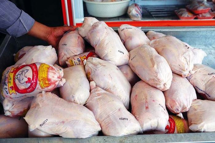 توزیع نامحدود مرغ منجمد ۱۳۵۰۰ تومانی آغاز شد