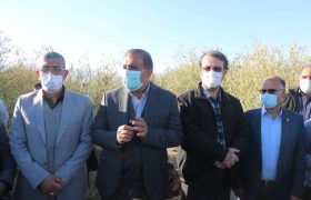 بازدید تیم مدیریت بحران وزارت جهاد کشاورزی از باغات سرمازده شهرستان داراب