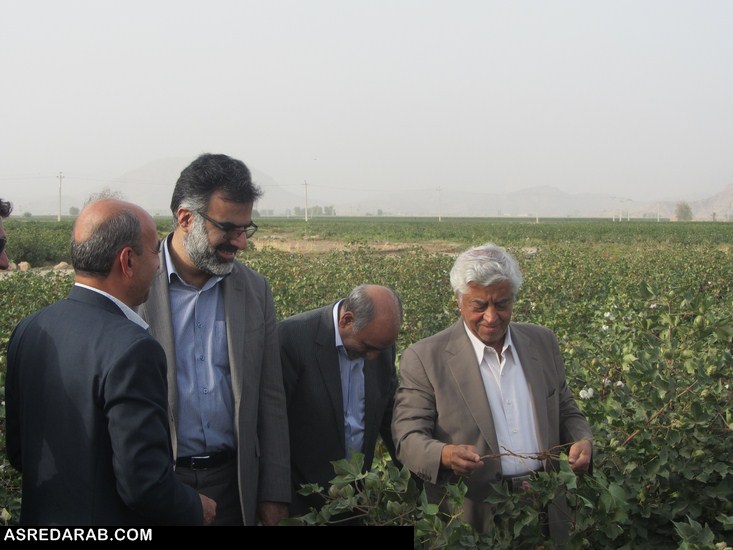 معاون امور زراعت وزارت جهاد کشاورزی در بازدید از مزارع پنبه شهرستان داراب مطرح کرد: تشکیل یک شرکت مشترک با ترکیه در جهت تولید بذر پنبه با رویکرد مصرف داخلی و صادرات خارجی