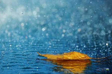 طی ۲ ساعت بارش  در داراب؛  ۲۱ میلی متر باران بارید