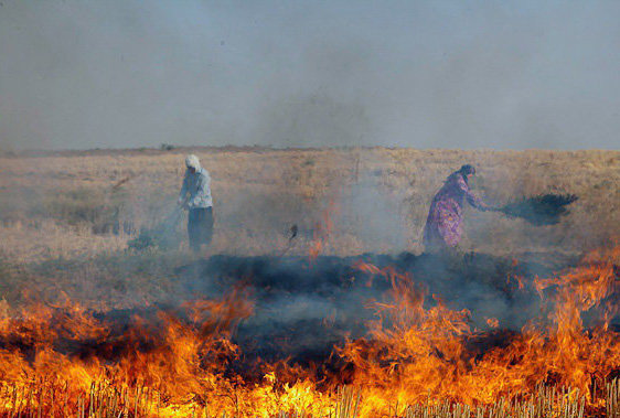 اطلاعیه محیط زیست داراب در خصوص ممنوعیت آتش زدن کاه و کلش