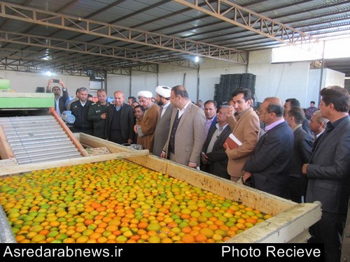 افتتاح طرح های کشاورزی بخش فورگ شهرستان داراب در دهه مبارک فجر