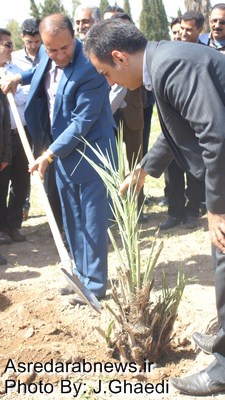 گرامی داشت روز درختکاری و هفته منابع طبیعی  در دانشکده کشاورزی و منابع طبیعی داراب