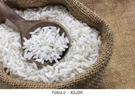 رییس اداره صنعت، معدن، تجارت: کمبود برنج در بازار به دلیل عدم قیمت گذاری توسط دولت است
