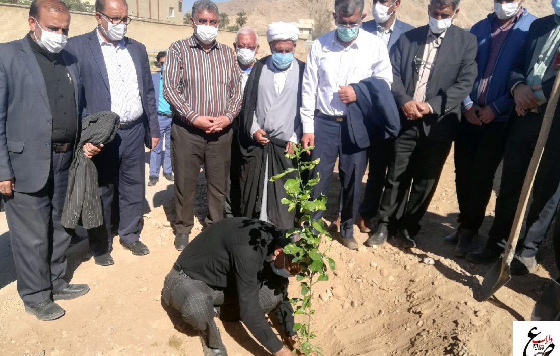 شهردار داراب در آیین روز درختکاری: با سنت حسنه کاشت درخت به نیت درگذشتگان، می توان در سال ۱۵ هزار درخت در داراب کاشت