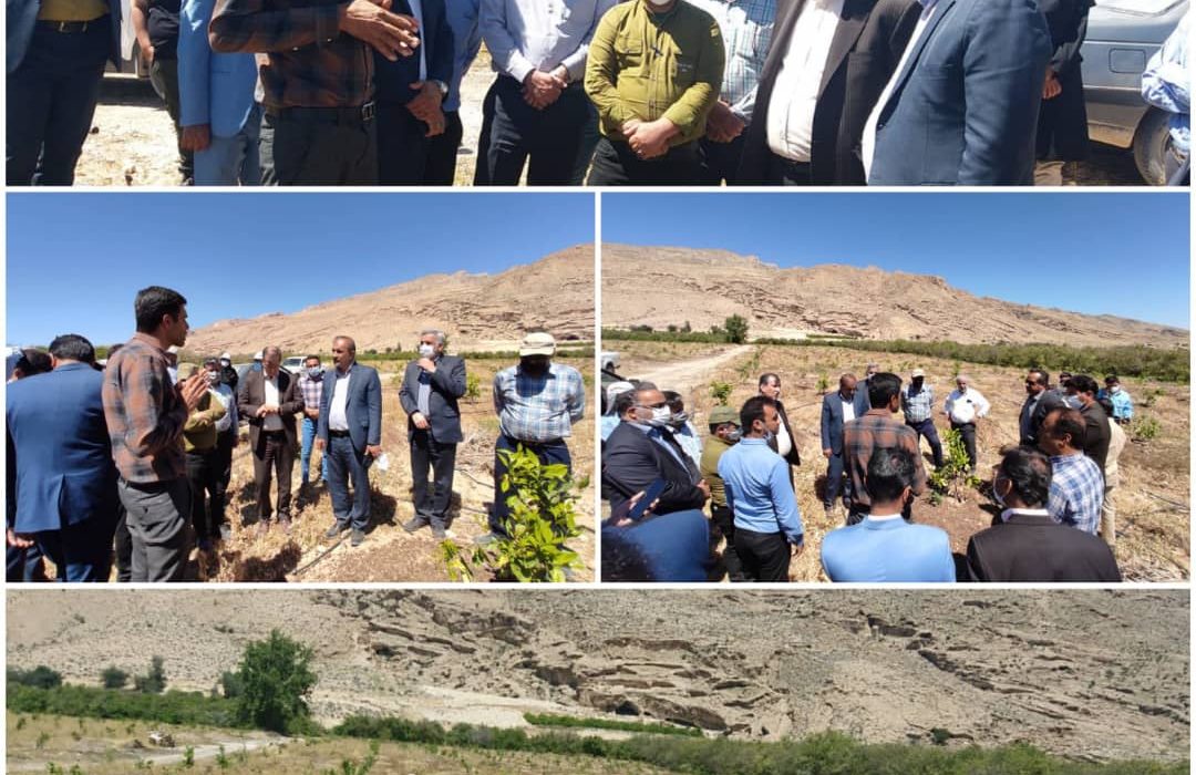 گزارشی از سفر یک روزه معاونین وزیر جهاد کشاورزی از داراب