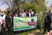  آئین گرامیداشت روز درختکاری در دانشکده کشاورزی و منابع طبیعی داراب برگزار شد