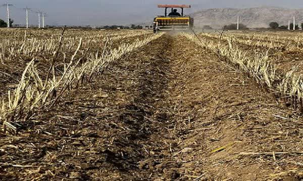 حبیب اله فتحی مدیر جهاد کشاورزی شهرستان داراب مطرح کرد: کشت به روش بی خاک‌ورزی در مزارع این شهرستان، نسبت به مدت مشابه در سال گذشته ۲۵ درصد افزایش داشته است