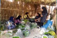 مدیر جهاد کشاورزی شهرستان داراب مطرح کرد: ۱۲ صندوق اعتبارات خرد زنان روستایی فعال است