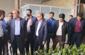 اختصاص ٢٠٠٠ اصله خرمای مجول وارداتی به داراب و زرین دشت